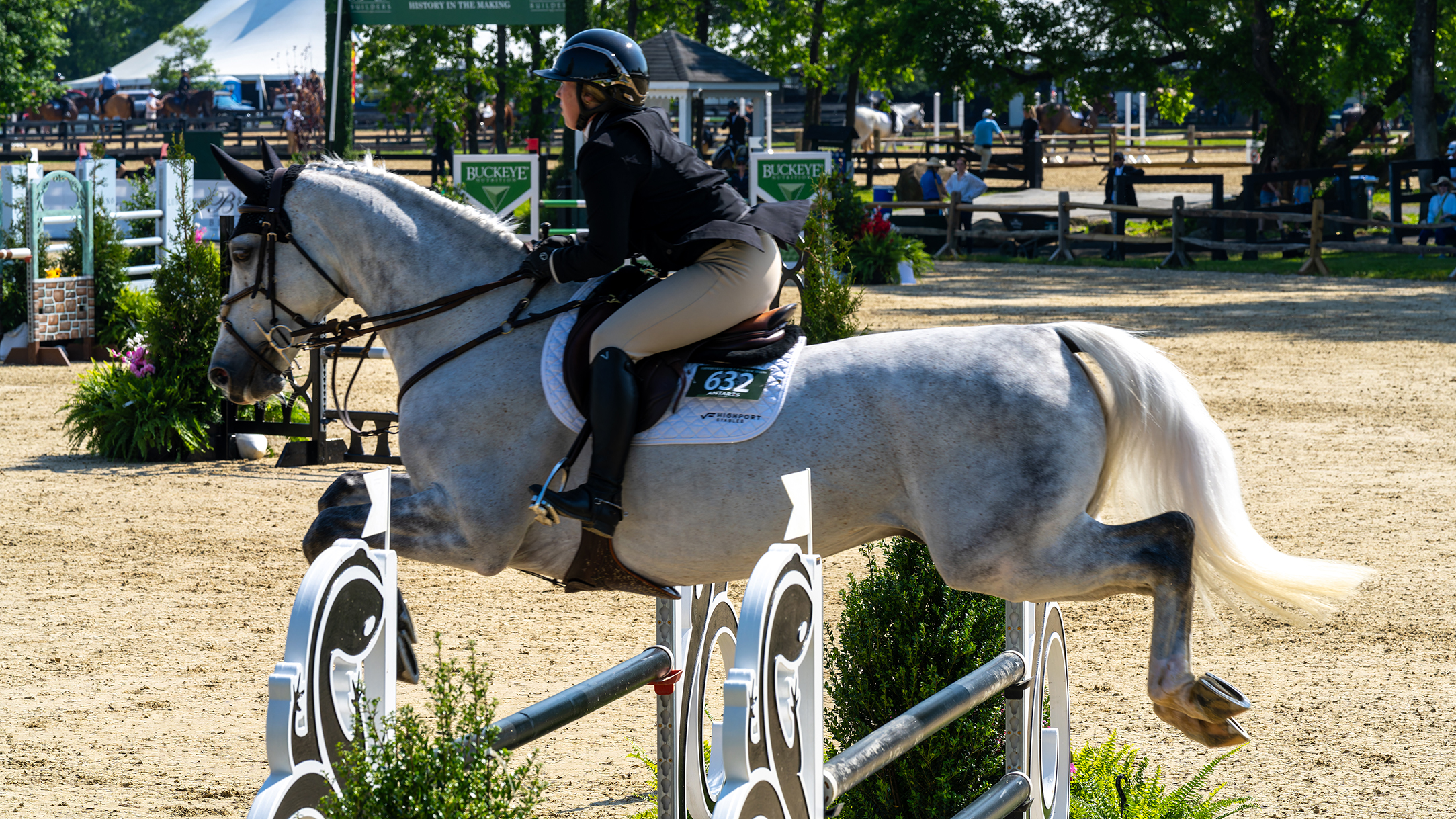 Casanova ridden by Kathryn Jernick